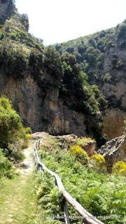 scate del Catafurco-17-06-2015 17-09-30